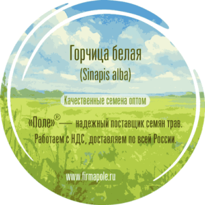 Семена горчицы белой
