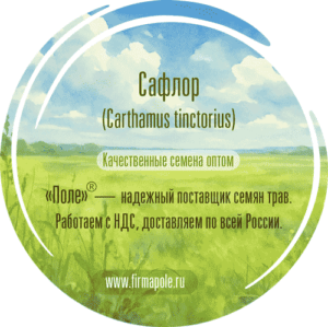 Семена горчицы белой